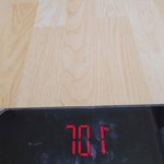 햄찌공쥬 다이어트 10일차