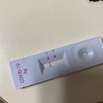 [이것좀봐줘] 이거 <b>양성</b>이야???