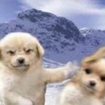 세브앙 얘들아 급함