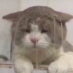 [댓글부탁해] <b>하체</b> 뚱뚱한데 다리라인 예쁠수도 있음?