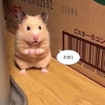 <b>재산</b>1천억80대 vs 반지하거지 존잘남