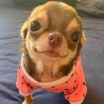 [댓글부탁해] 고1  동아리 들려는데ㅠㅠ 제발 도와줘