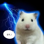 아니 우리학교 온클이래 <b>개화</b>나
