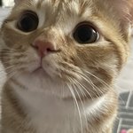 [드루와] 고3인데 20살 오빠랑 하는 거 어케생각해