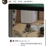 [NCT칠프] ㅇ야 이거 쥰나 기엽<b>땅</b> ㅜ