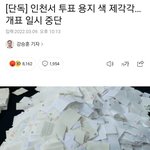 인천 <b>부정</b>선거 떴네