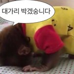 [댓글부탁해] 나 <b>기침</b> 하고 목 좀 아픈데