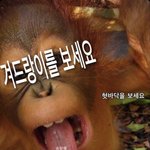 [댓글부탁해] <b>부천</b> 개표 가망있대!!!!