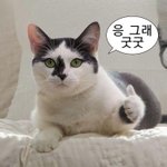 내친구 할아버지 나무<b>위키</b>에있음