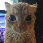 [댓글부탁해] 이재명 <b>깜빵</b> 자 드가자