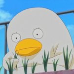 너네 어디로 <b>이민</b>갈거야?