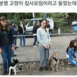분명 고양이 <b>집사</b>모임이라고 들었는데..