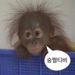 나 누가봐도 코로힝 <b>양성</b>인데
