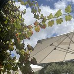 피자와 <b>와인</b>