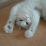 1번녀들 제발 <b>탈조선</b> 하라고요ㅋㅋ