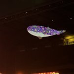 [방탄소년단] <b>우와</b> 고래