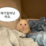 우리나라 대<b>도시</b>들 부족한거같지않음?