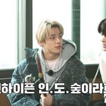[엔하이픈] 엔하이픈 <b>인도</b>숲