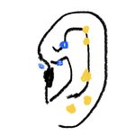 [댓글부탁해] 피어싱 <b>위치</b> 골라주라