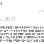 대선 패배 하자…유서 쓰고 사라진 `李 갤러리` 관리자, 실종 <b>소동</b>