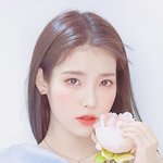 <b>요정</b>같은 연예인들