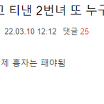 [댓글부탁해] 2번녀 <b>의심</b> 여자연예인 명단 만드는 사이트