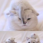 <b>판창</b>들 들어와봐