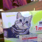 뭐야 <b>지방시</b> 사람 이름 아니었음?