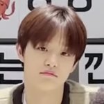 요즘 얘 너무 좋은데