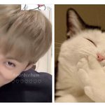 [NCT칠프] 애<b>옹</b>깅 뽑뽀