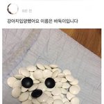우리집앞에 30분째 소방차 와잇는데 뭘까