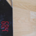 <b>햄</b><b>찌</b>공쥬 다이어트 13일차