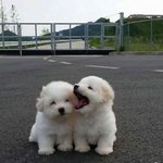 당신 아픈마음