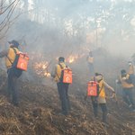 이번 <b>동해</b>안 산불 규모 ㄷㄷ