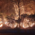 이번 <b>동해</b>안 산불 규모 ㄷㄷ