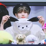 [스키즈] [글밀용] <b>사진</b> <b>속</b> 강아지는 총 몇 마리?