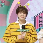 [NCT칠프] <b>꿀벌</b>정우
