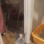 이 정도면 썸 맞음?