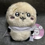 인형 산 거 왔다ㄷ ㄷ..