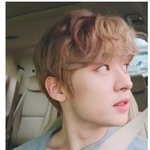 [스키즈] <b>공격</b>받아랏!