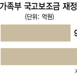 <b>여가부</b> 국고보조금 1조 자체규정 없어