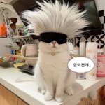 남자 망돌글 아는 사람?