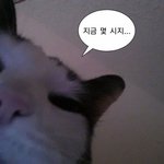 새<b>학기</b> 고민 좀 들어줄사람
