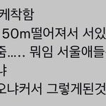 서울버스 이거 ㄹㅇ