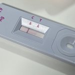 [댓글부탁해] 이것도 <b>양성</b>이야????