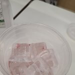 [방탈죄송] <b>얼음</b>양이 이게 정상인가요?