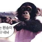 [댓글부탁해] 얘들아 나 <b>시력</b> ㄹㅇㄹㅇ 안 좋은데