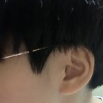 투<b>블럭</b> 기르는중인데