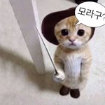 [댓글부탁해] <b>찐따</b><b>남</b>들 이상형 뭐임?