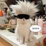 [드루와] 검은바지에 흰<b>셔츠</b> 흔하지??